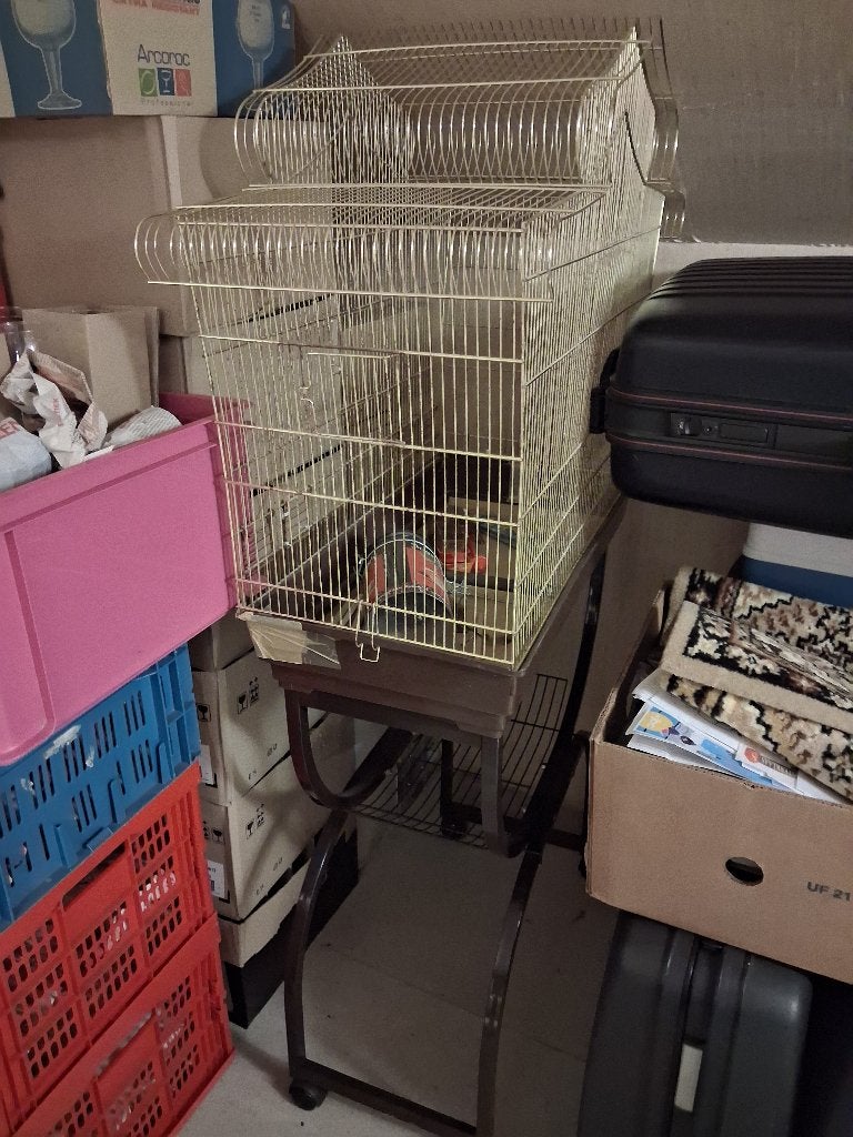 Grote vogelkooi op verrijdbaar onderstel (wieltjes), Dieren en Toebehoren, Ophalen, Gebruikt, Vogelkooi