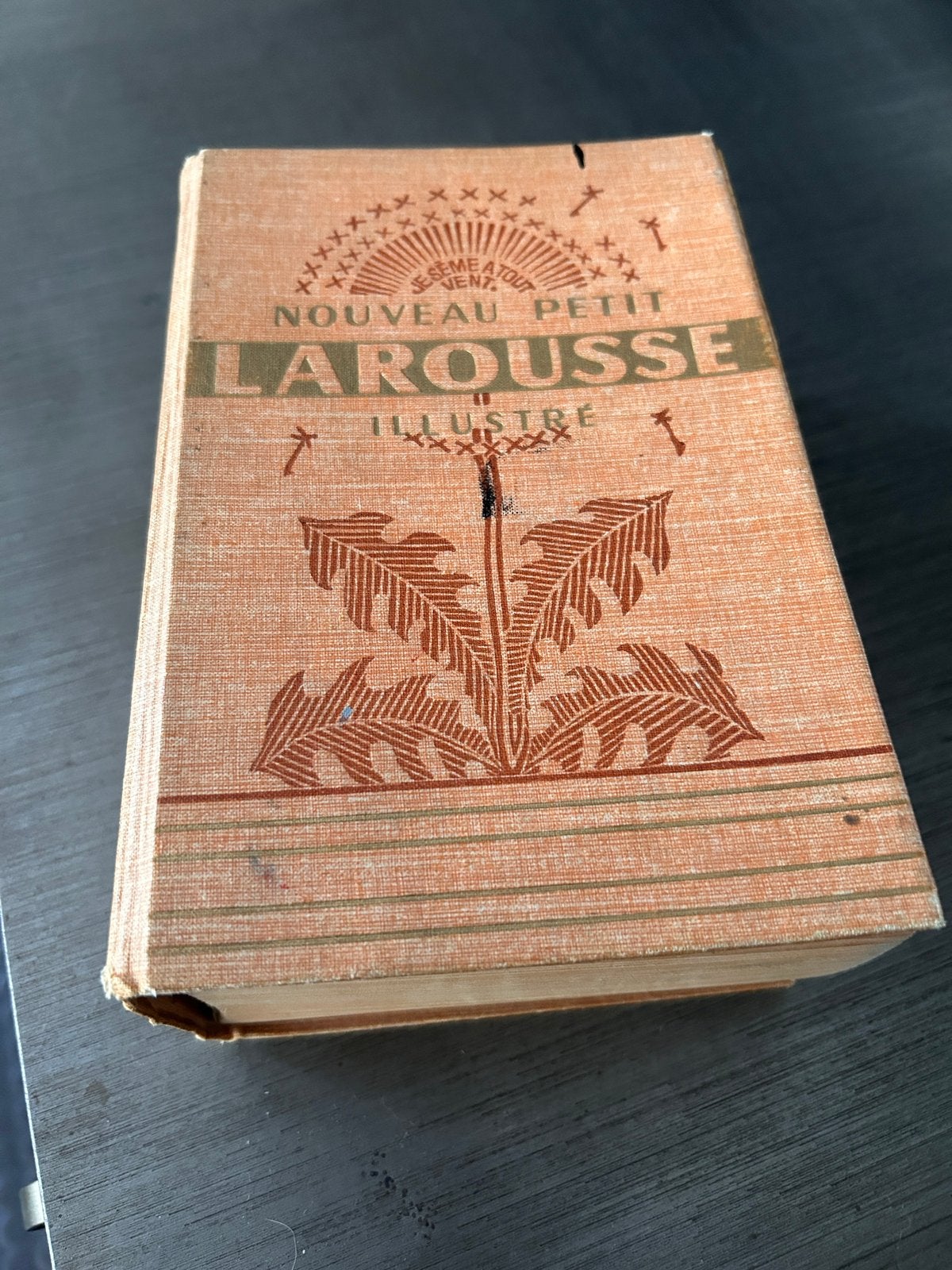Nouveau petit Larousse illustré 1954, Enlèvement