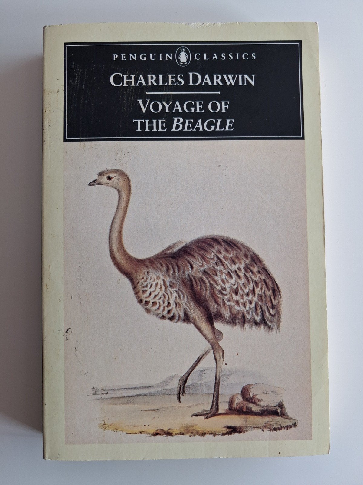 Charles Darwin - The Voyage of the Beagle, Enlèvement ou Envoi, Utilisé, Charles Darwin