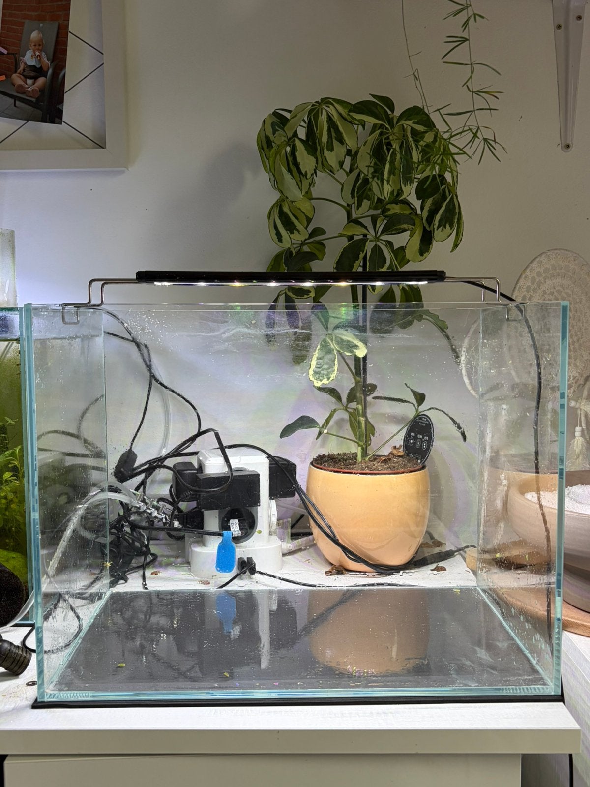 Aquariums, Enlèvement, Comme neuf