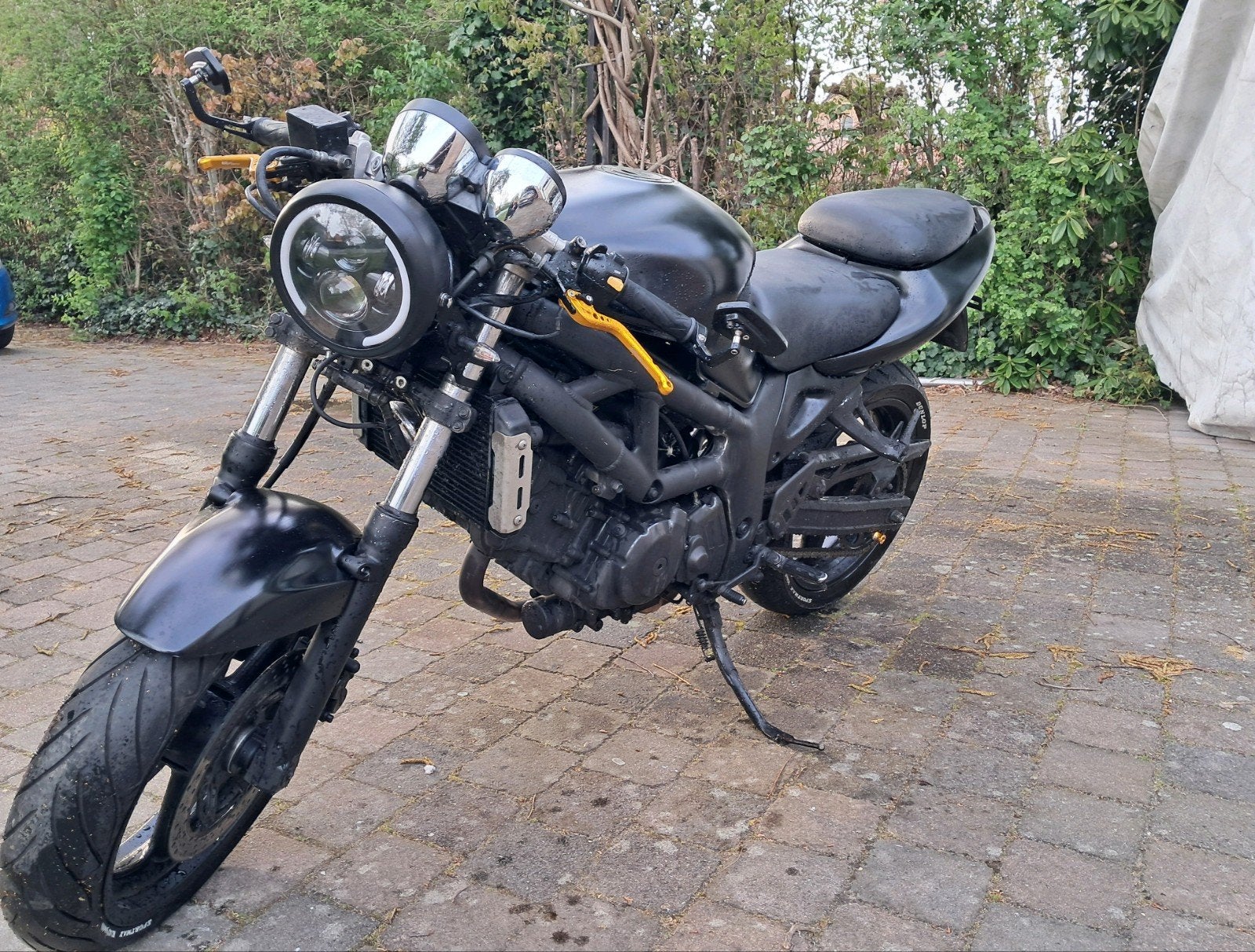 SV650, Motos, Motos | Suzuki, Particulier