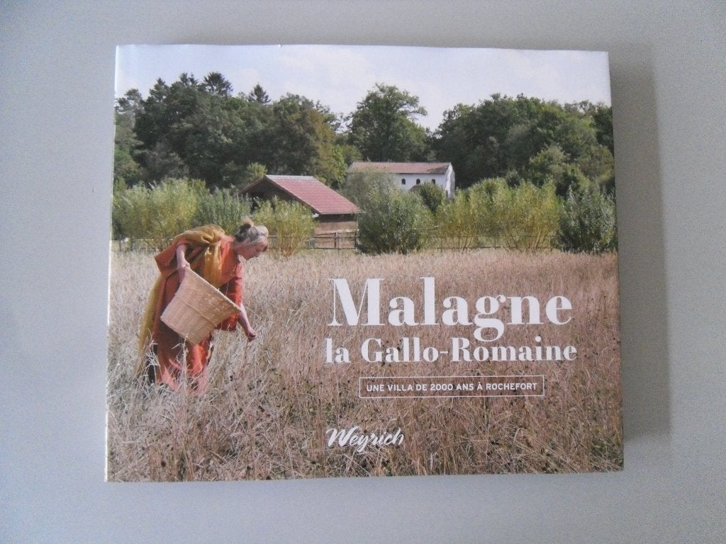 Malagne la Gallo-Romaine - Une villa de 2000 ans à Rochefort, Ophalen of Verzenden, Gelezen