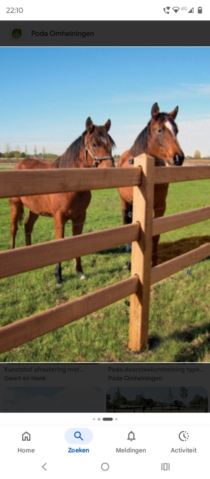 Paardenweide met stalling te huur in Dessel, Animaux & Accessoires, Box & Pâturages