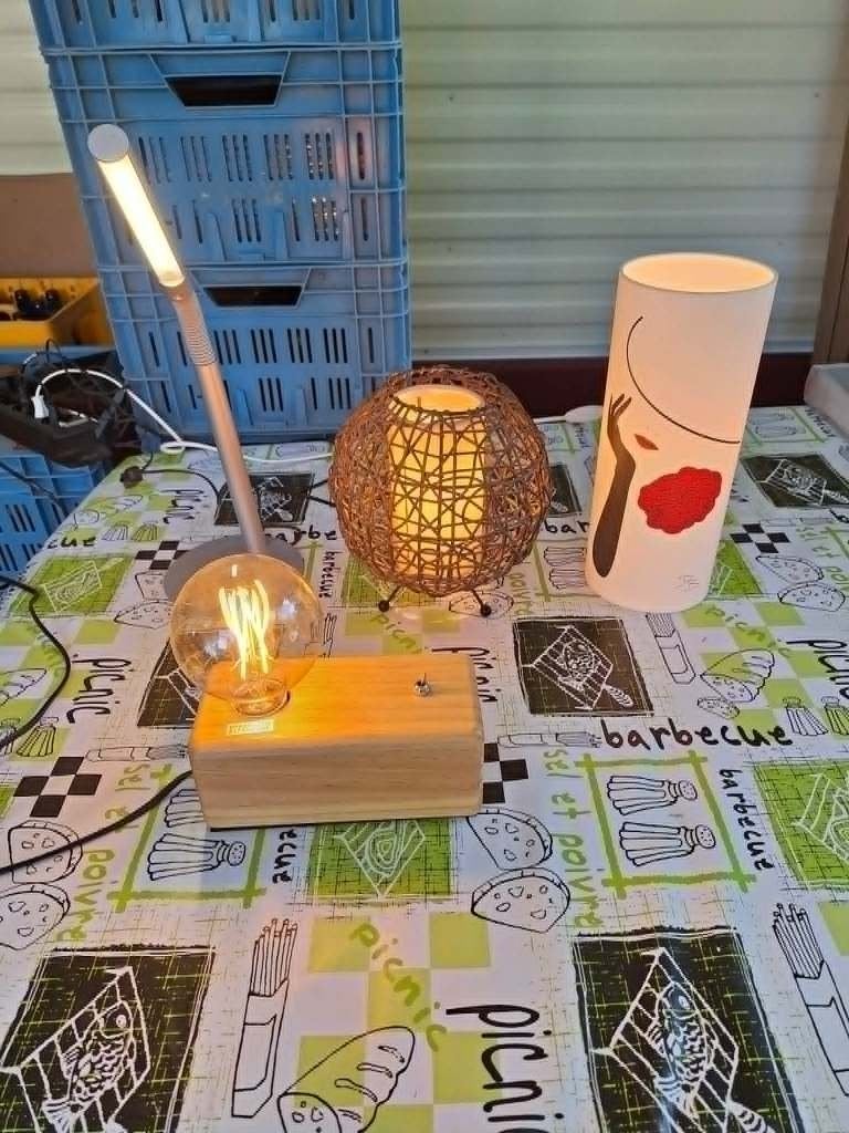 Lampes électriques et pile fonctionnelles, Enlèvement