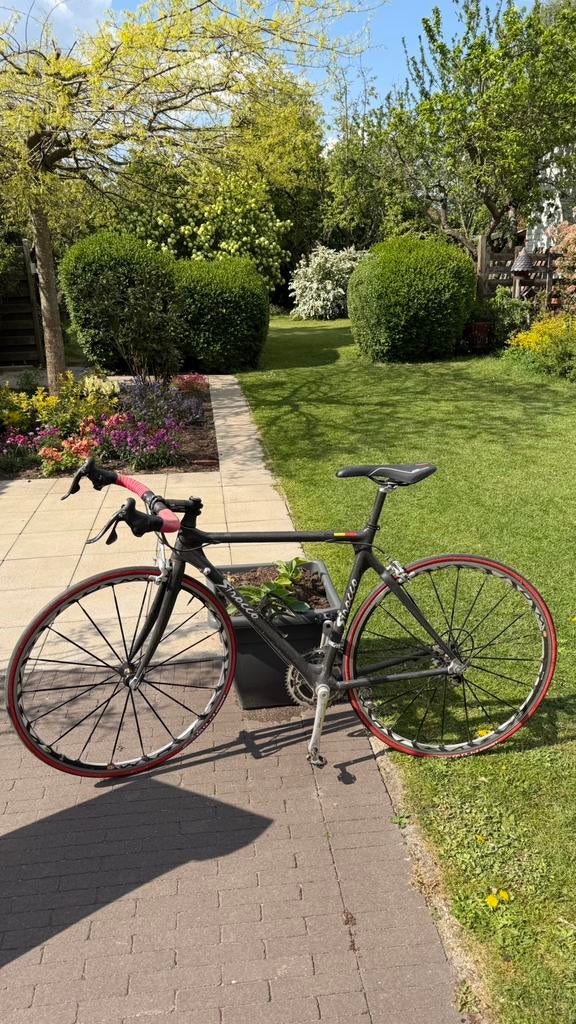 Race fiets Sirocco carbon - 53, 26 pouces, 10 à 15 vitesses, Frein sur jante, 49 à 53 cm