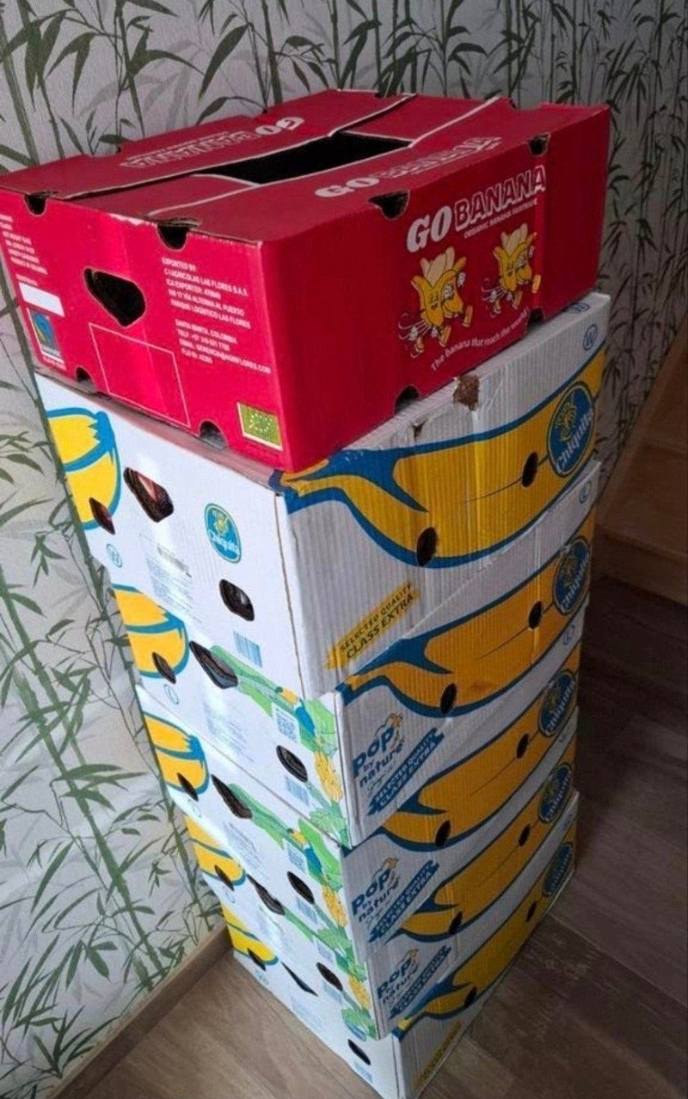 440-tal DVD's, Enlèvement, Comme neuf, Néerlandais