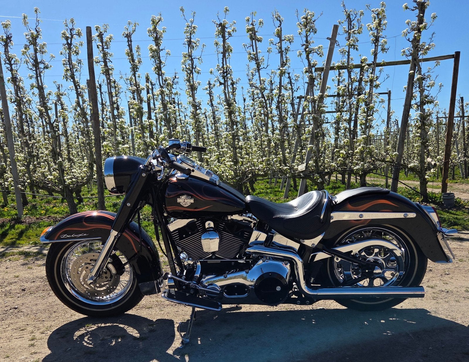 HD Softail deluxe prijs otk., Motoren, Motoren | Harley-Davidson, Particulier