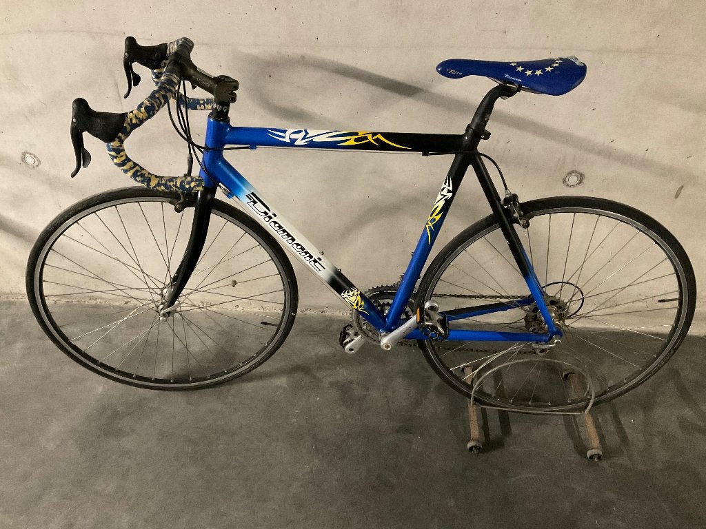 Koersfiets, Fietsen en Brommers, Fietsen | Racefietsen, Gebruikt, Staal, 15 tot 20 versnellingen, Ophalen