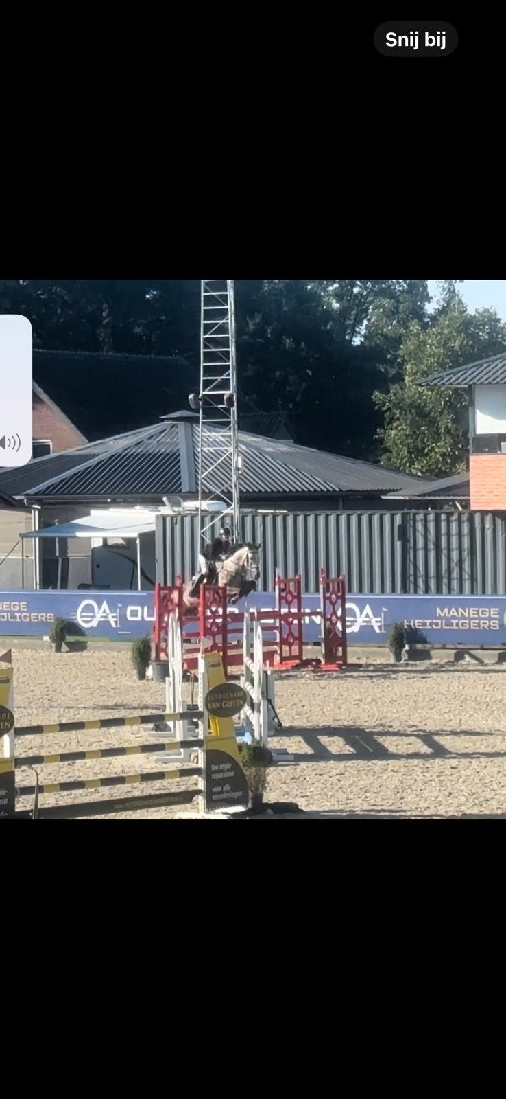 Super braaf leer paard, Animaux & Accessoires, Enlèvement, Comme neuf