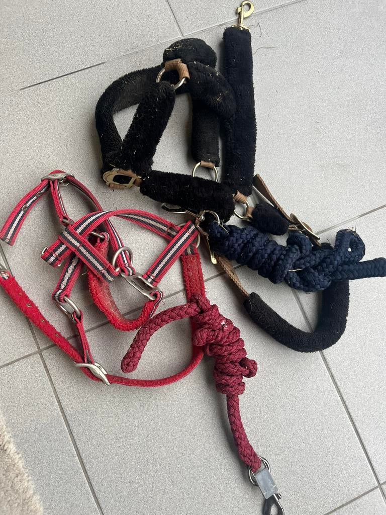 2 halsters 2 touwen, Ophalen of Verzenden, Gebruikt, Overige soorten