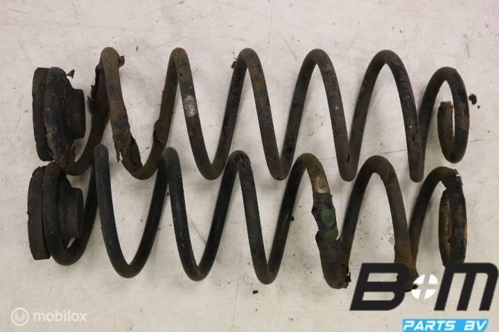 Set achterveren VW Bora, Autos : Pièces & Accessoires, Suspension & Châssis, Utilisé