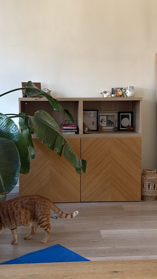 IKEA kast hedeviken, Maison & Meubles, Ameublement | Revêtements de sol, Enlèvement, Comme neuf