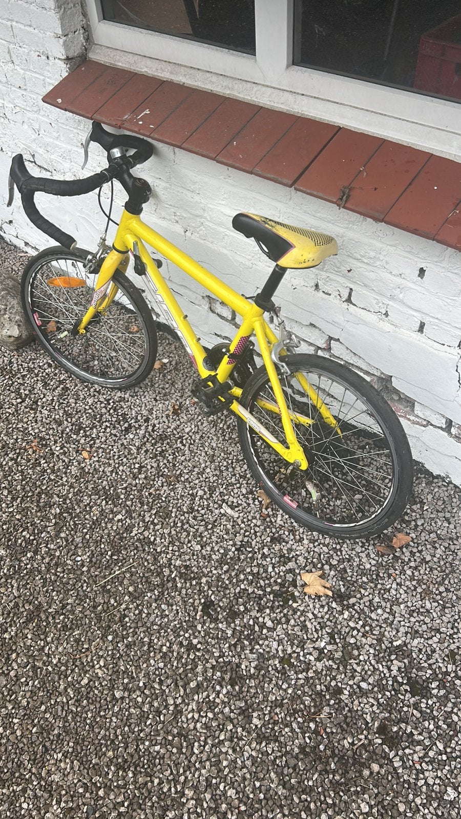 20inch koersfietsje, Fietsen en Brommers, Ophalen, Staal, Velgrem, 16 tot 20 inch