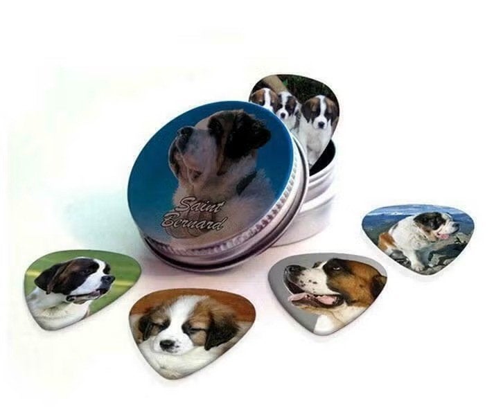 Blikje + plectrums met afbeelding van een Sint Bernhard hond, Enlèvement ou Envoi, Neuf