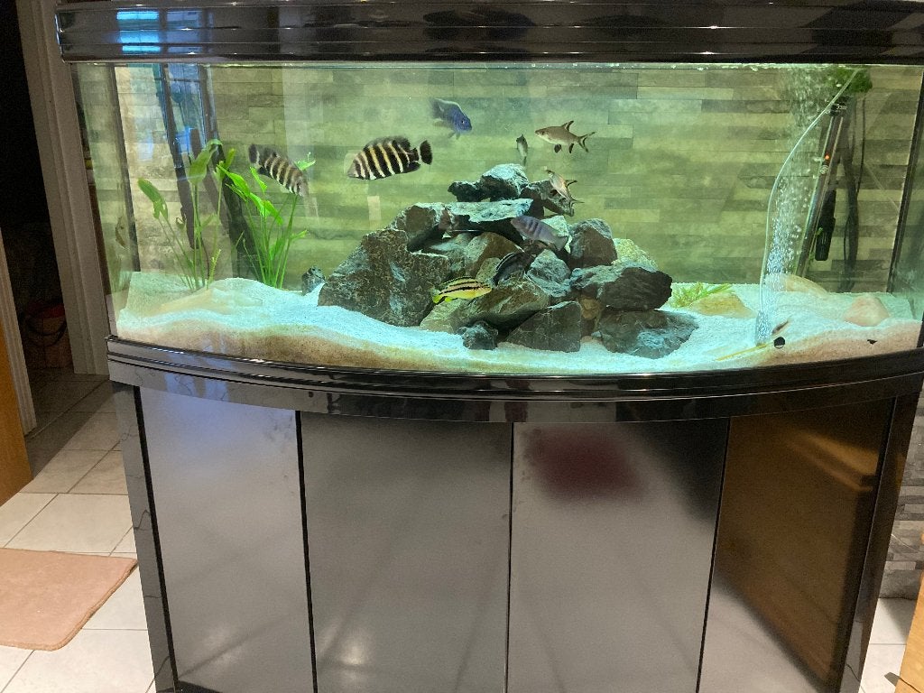 Aquarium complet de 450L., Animaux & Accessoires, Enlèvement, Chauffage