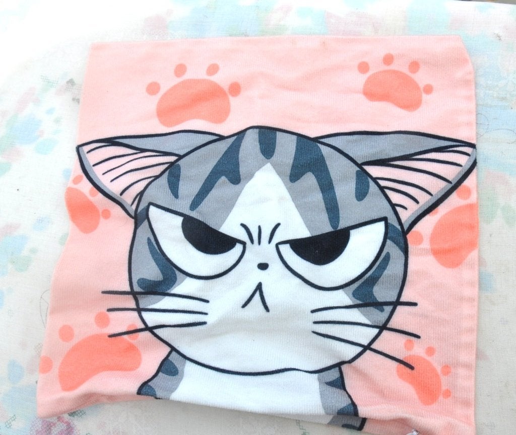 housse pour petit coussin motif chat grincheux de 29x29 cm, Dubbelzijdig, Ophalen of Verzenden, Zo goed als nieuw, Roze