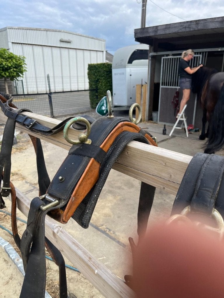 Dubbelspan tuig, Dieren en Toebehoren, Gebruikt, Overige typen, Paard
