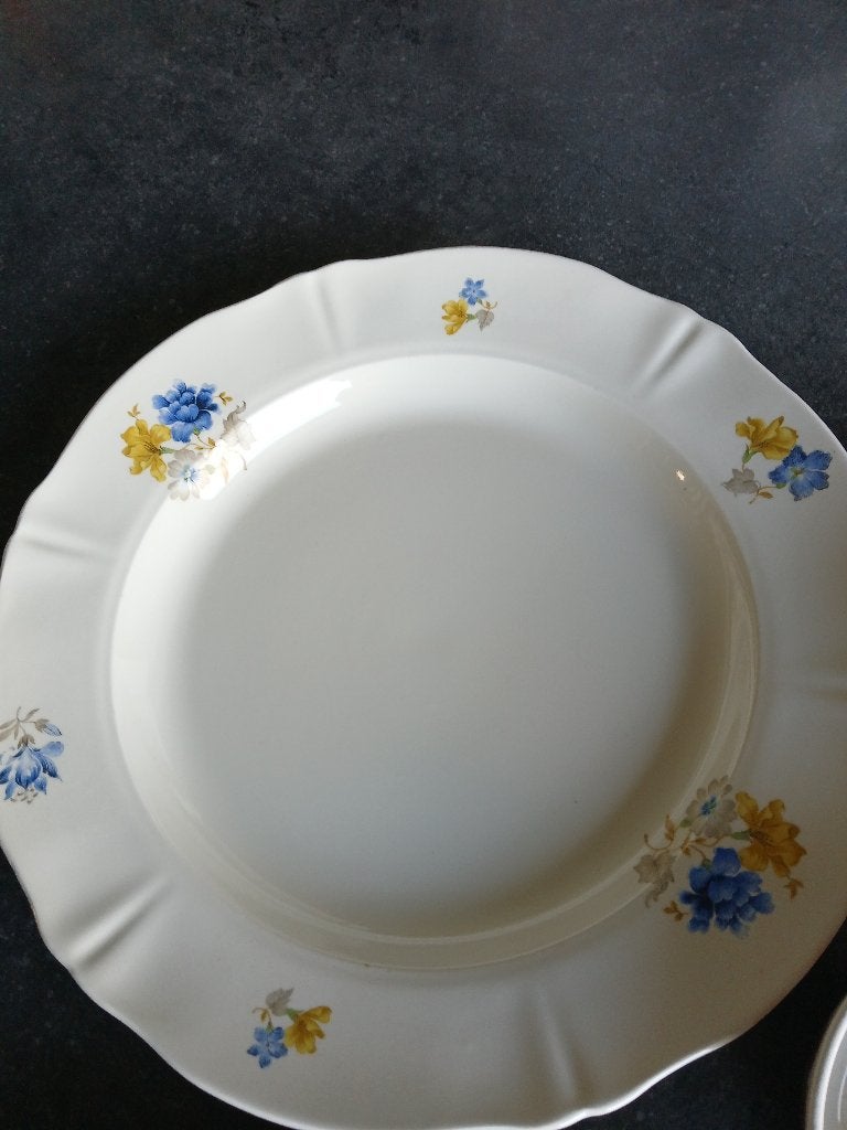 Grande assiette de service ancienne Petrus Regout, Enlèvement ou Envoi