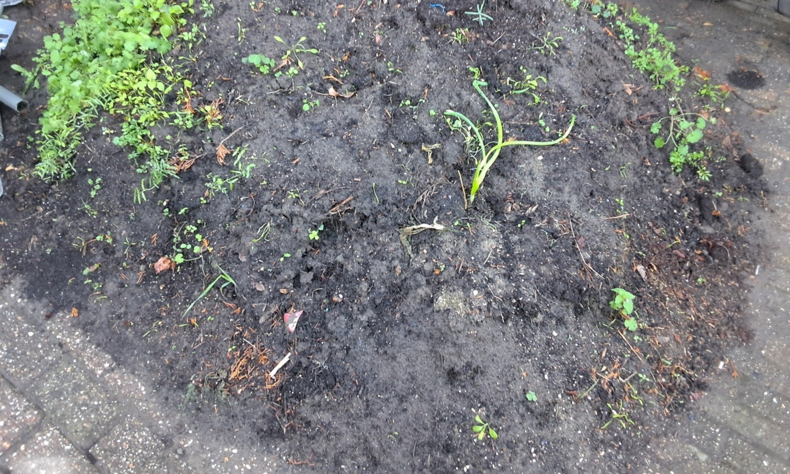 tuin grond, Tuin en Terras, Ophalen