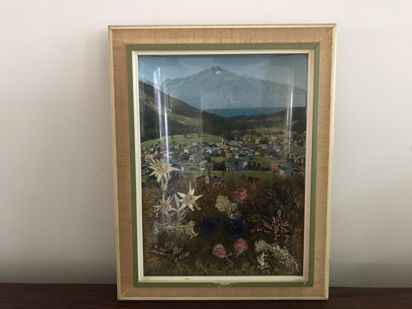 Lijst kader edelweis bloemen landschap achter glas, Ophalen of Verzenden