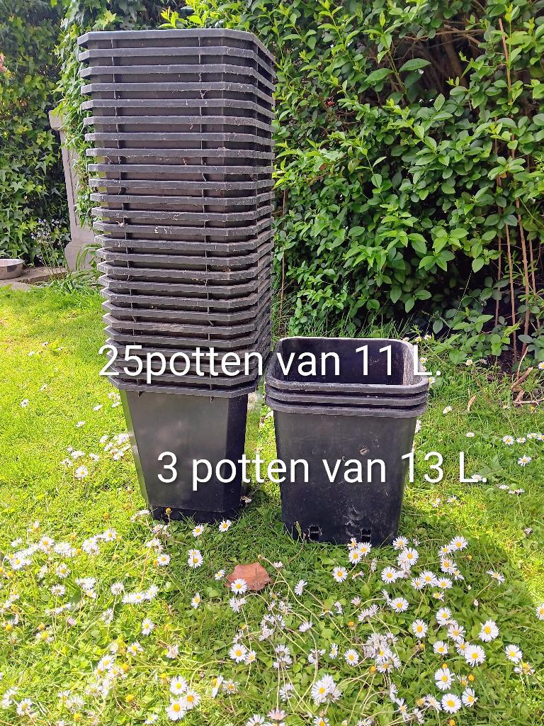 kweekpotten, Tuin en Terras, Ophalen, Gebruikt, Kweekbak