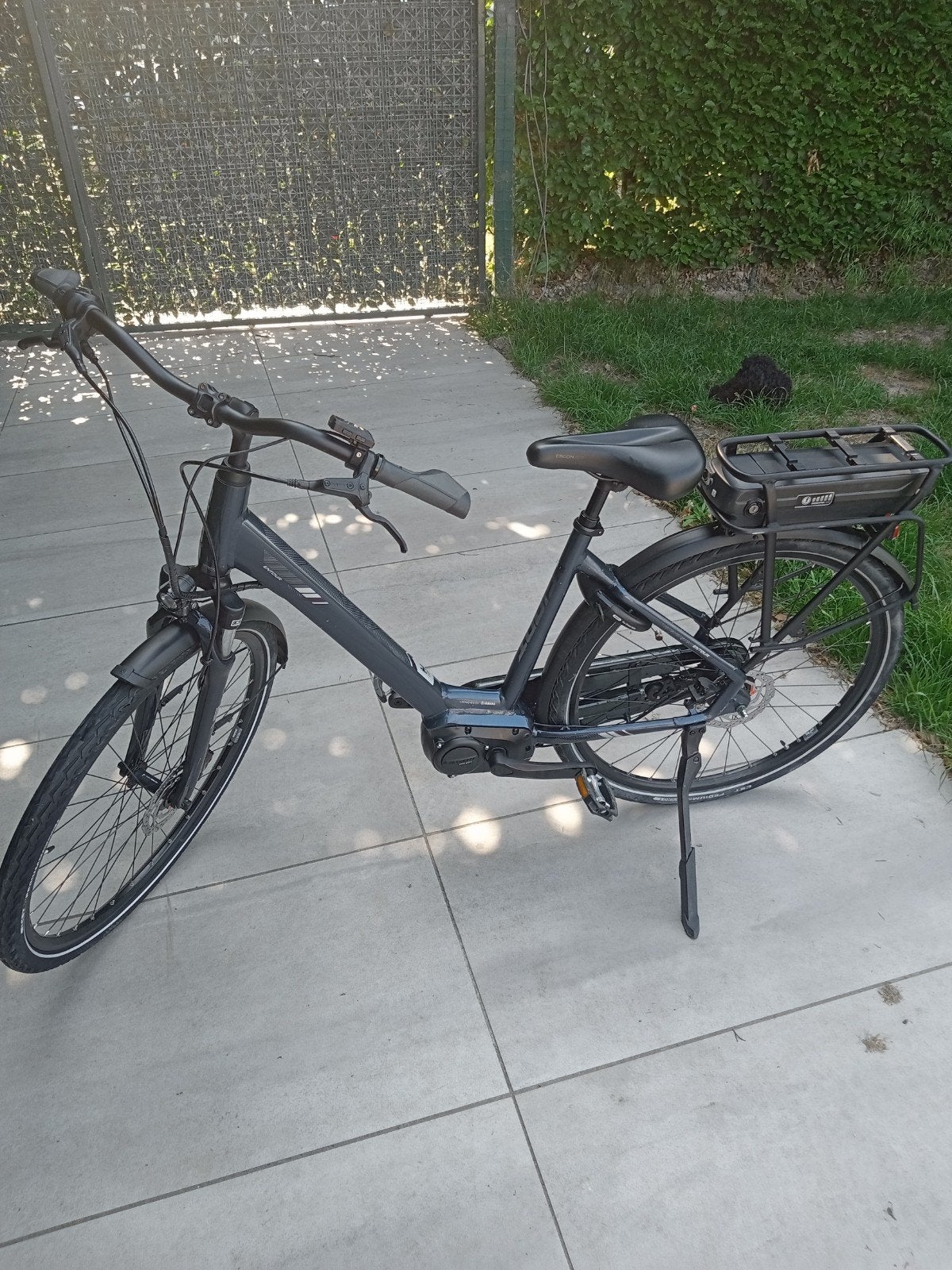 Entour géant comme neuf, Vélos & Vélomoteurs, Vélos électriques, Enlèvement, Giant