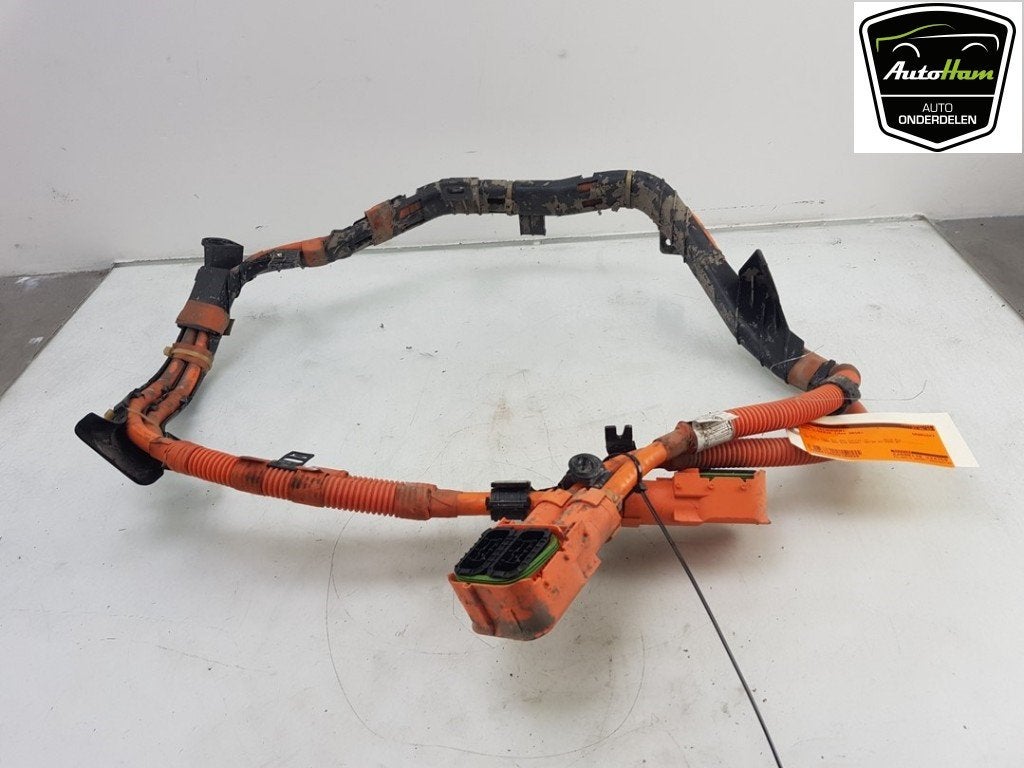 CABLE BMW 3 serie (F30) (01-2011/10-2018) (|6824110|), Dhr. J. Ham, Administratie@autoham.nl, Utilisé, BMW