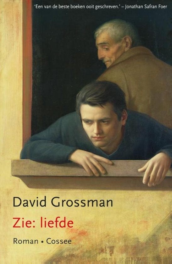 Te Koop Boek ZIE: LIEFDE David Grossman, Boeken, Romans, Zo goed als nieuw, Wereld overig, Ophalen of Verzenden