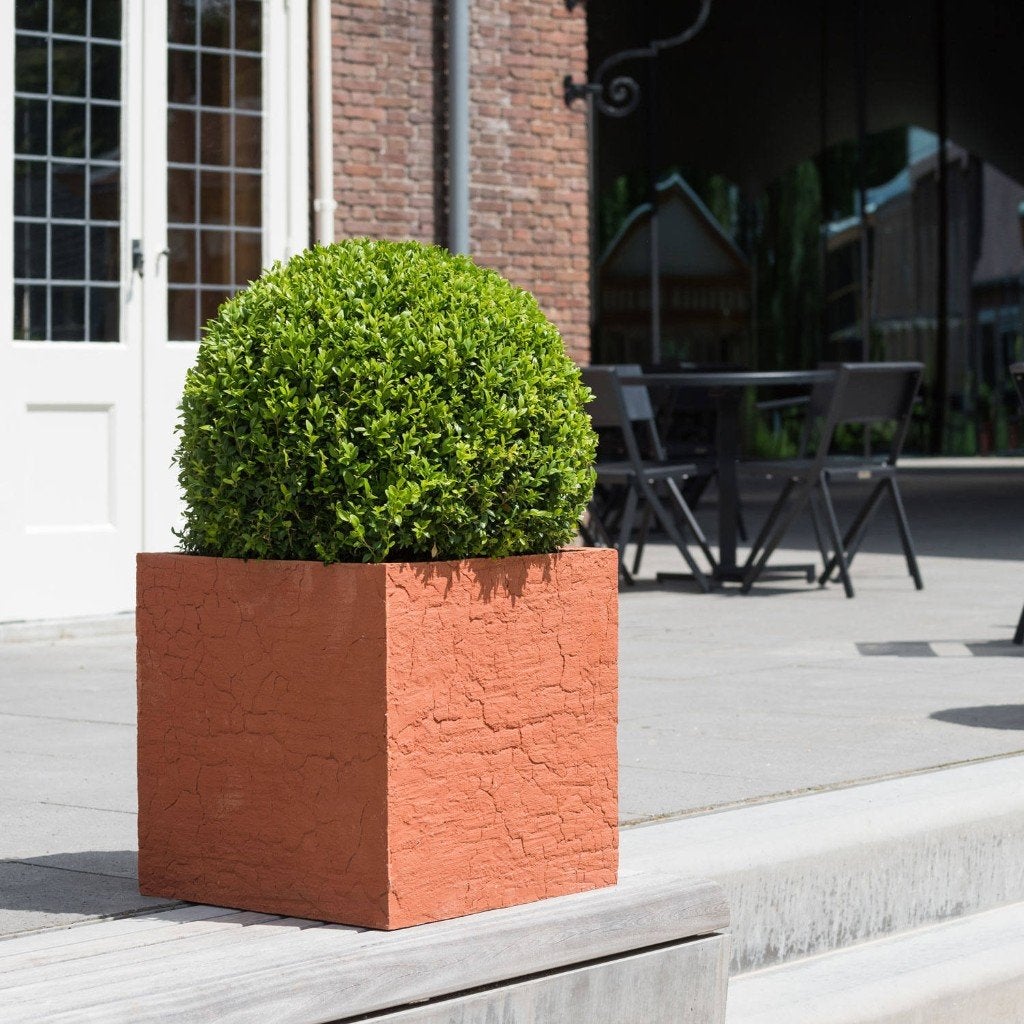 NIEUWE VIERKANTE PLANTENBAK BLOEMBAK POT BLOEMPOT S BLOCK L, 40 cm ou plus, 40 à 70 cm, Carré, Enlèvement