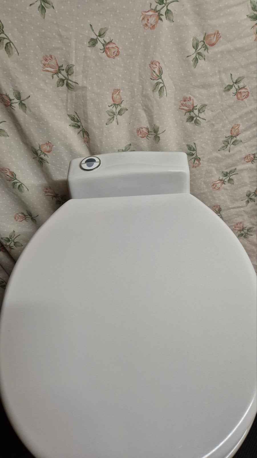 orginele SFA sanibroyeur 48 vermaler toilet, Ophalen, Zo goed als nieuw, Toilet