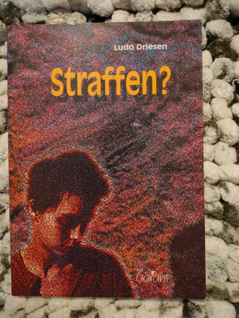 Boek Straffen? - Ludo Driesen, Livres, Grossesse & Éducation, Enlèvement ou Envoi, Comme neuf, Ludo Driesen