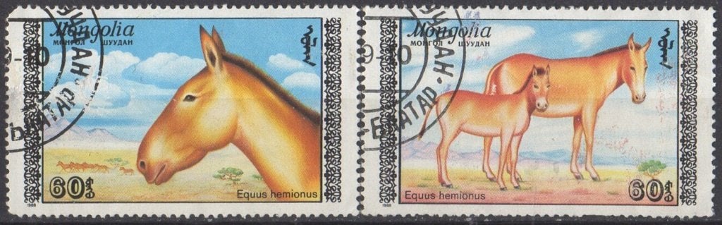 Mongolië - Onagers (Aziatische wilde ezels) - 1988, Ophalen of Verzenden, Gestempeld