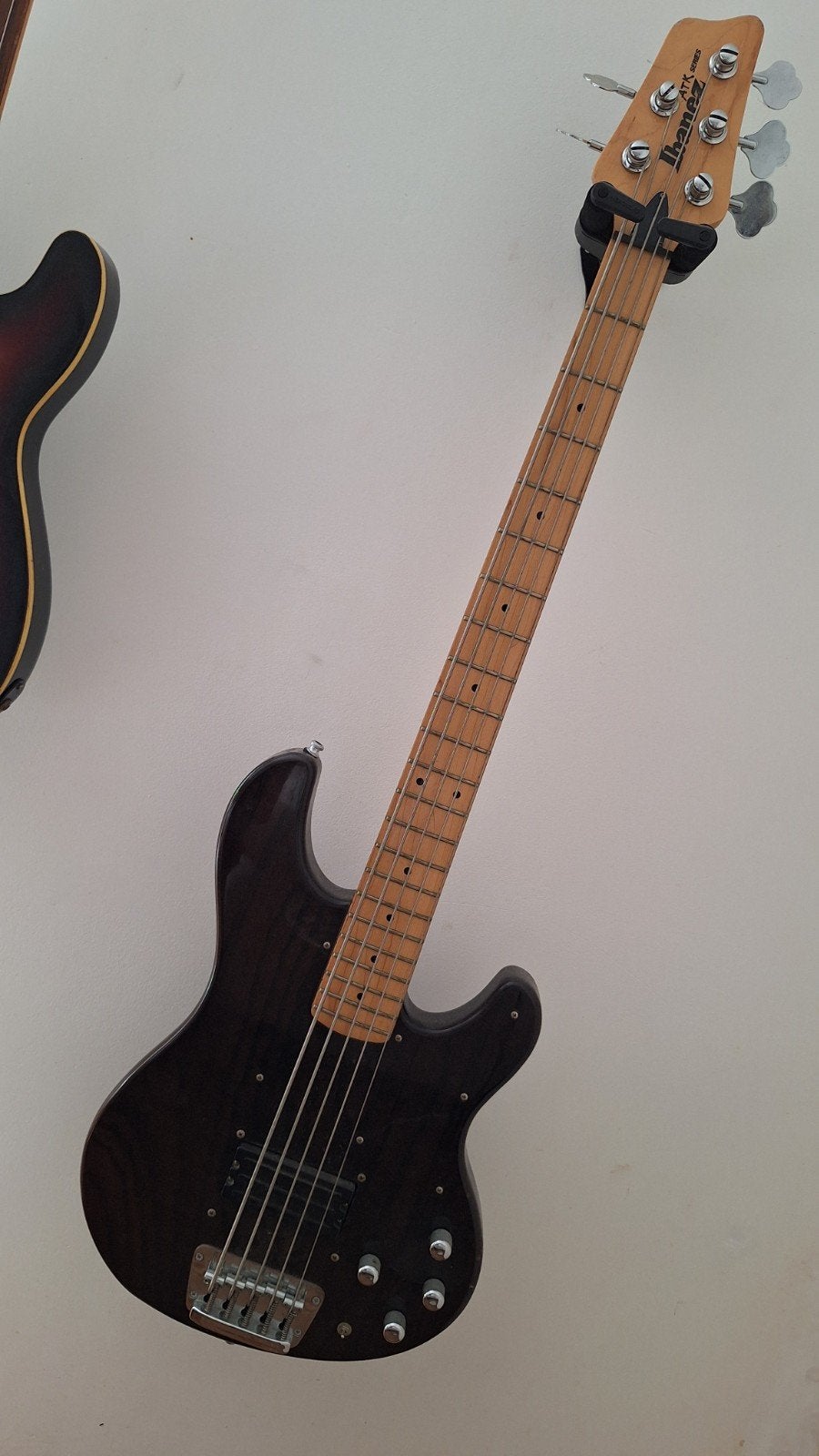 Ibanez ATK 405  5-string bass, Muziek en Instrumenten, Ophalen