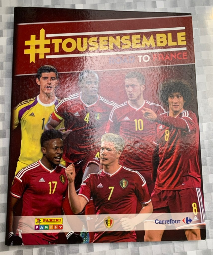TE KOOP PANINI Carrefour #tousensemble Road to France 2015, Envoi, Comme neuf, Autocollants et Photos