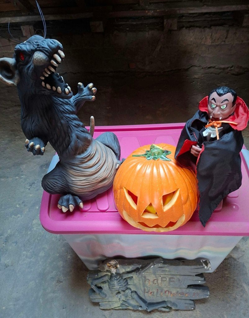 Décoration HALLOWEEN, Hobby & Loisirs créatifs, Enlèvement, Utilisé, Décoration