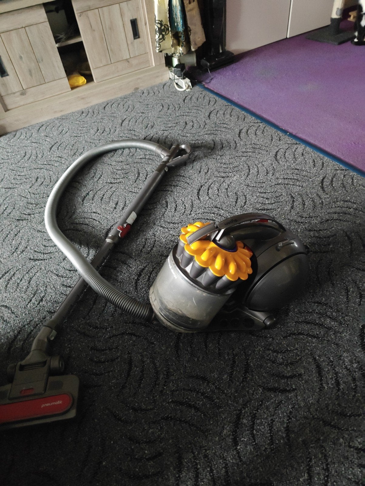 Aspirateur Dyson Ball Energy, Aspirateur industriel, Convient aux propriétaires d'animaux, Réservoir, Enlèvement
