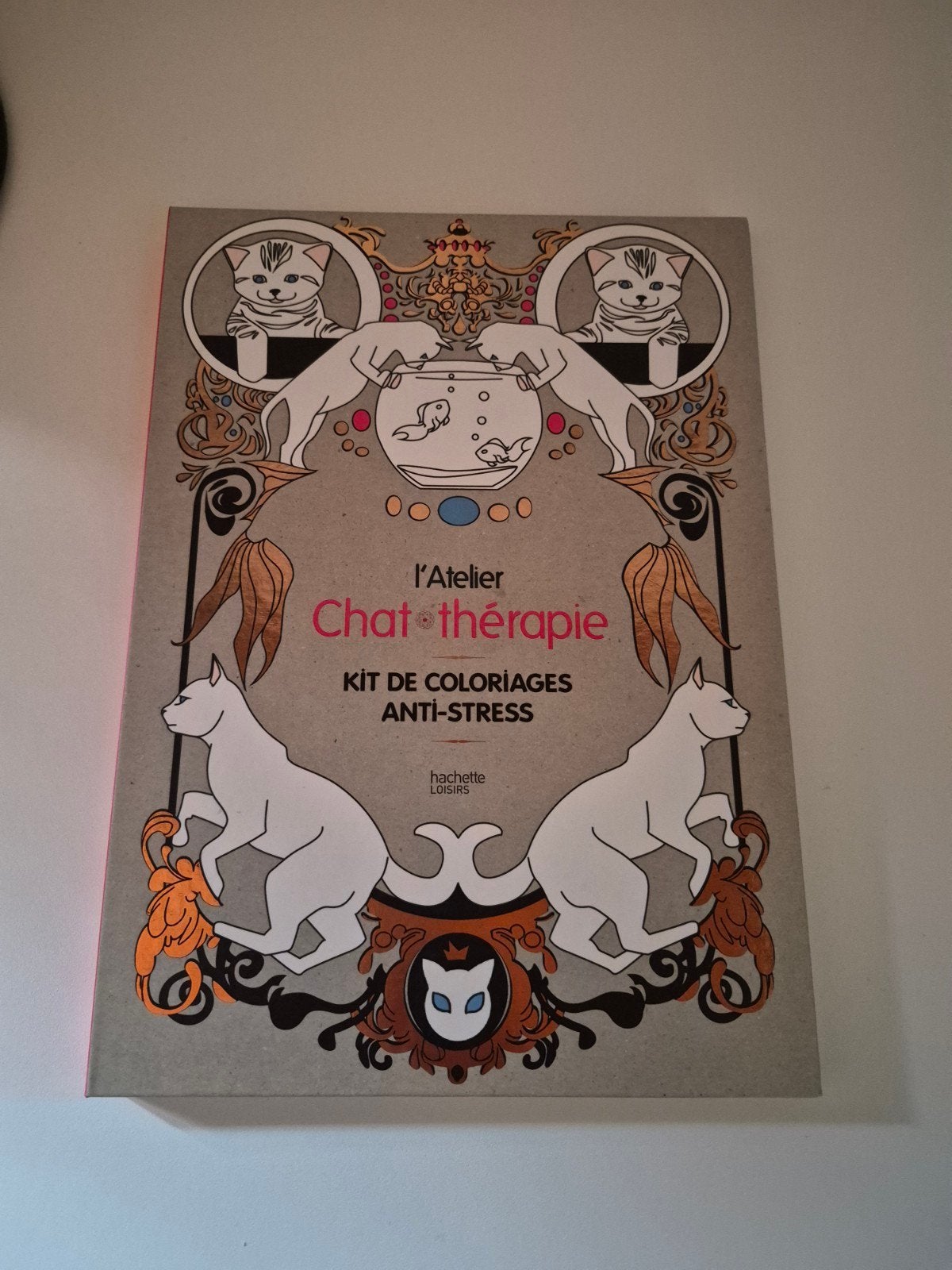 Kleurboek voor volwassenen anti-stress NIEUW, Enlèvement