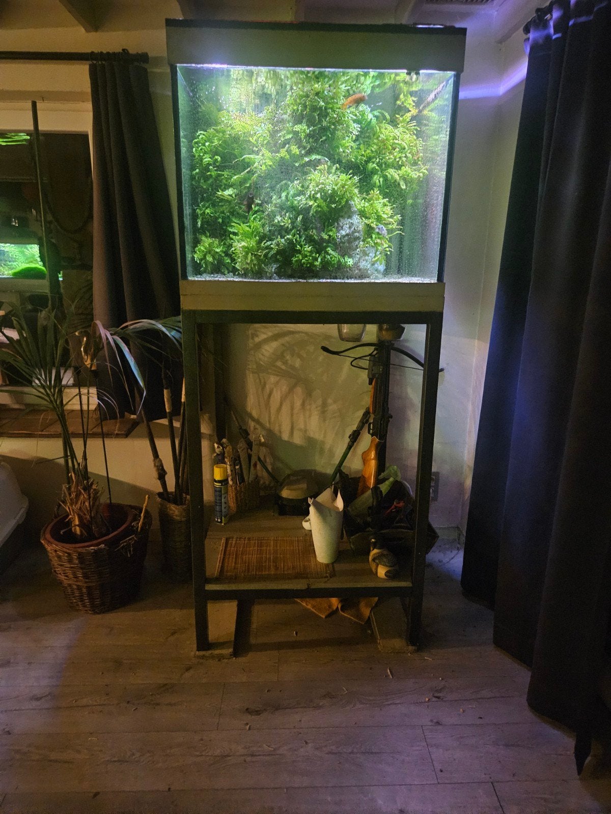 aquarium, Enlèvement, Plantes incluses, Utilisé, Meuble d'aquarium