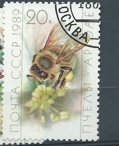 URSS, Timbres & Monnaies, Timbres | Europe | Russie, Enlèvement ou Envoi, Affranchi
