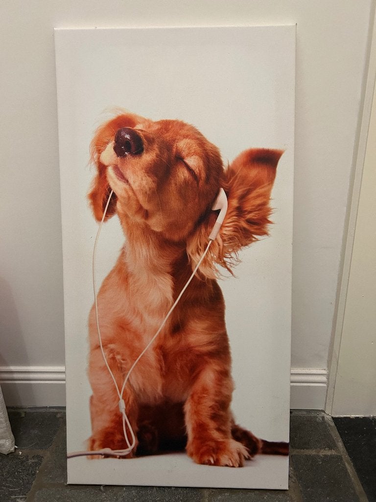 Schilderij hond, Antiek en Kunst, Ophalen, Dieren