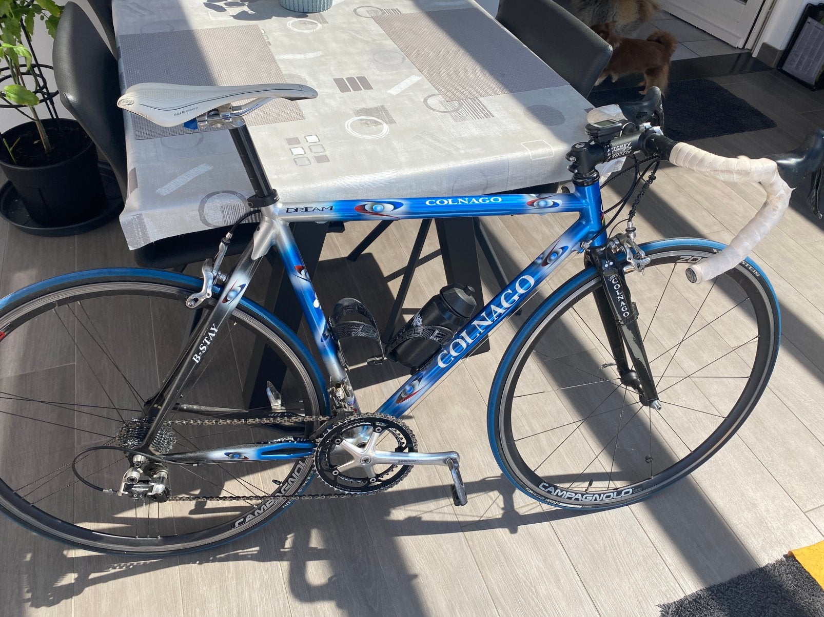 Colnago retro koersfiets, Enlèvement, Utilisé