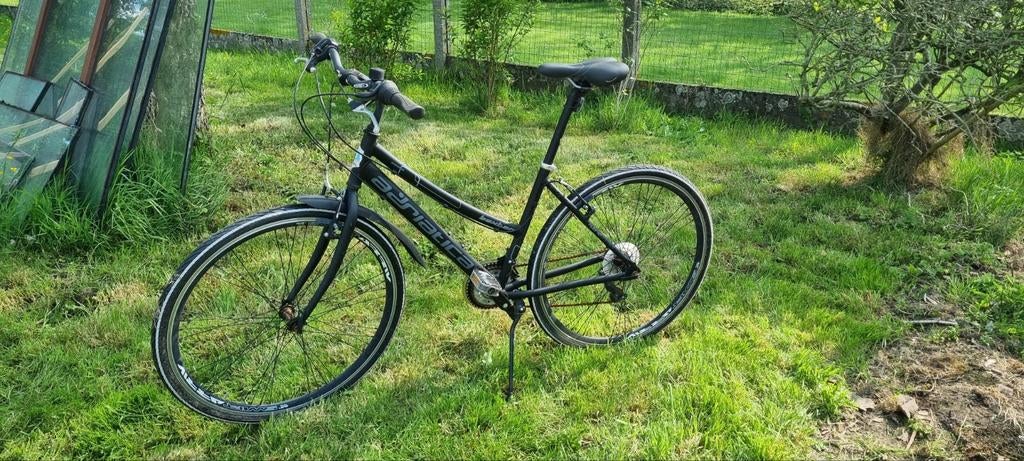 Damesfiets Adriatica Boxter, Enlèvement