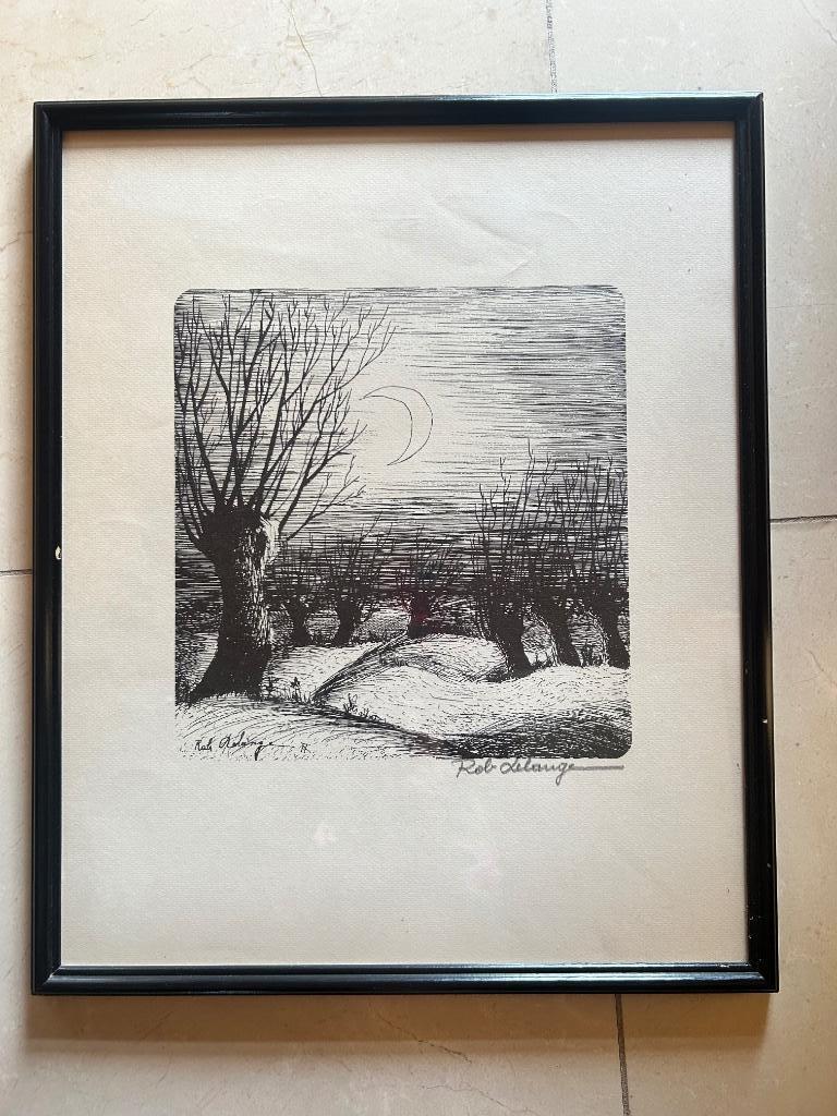 Pentekening Rob Delange, Enlèvement