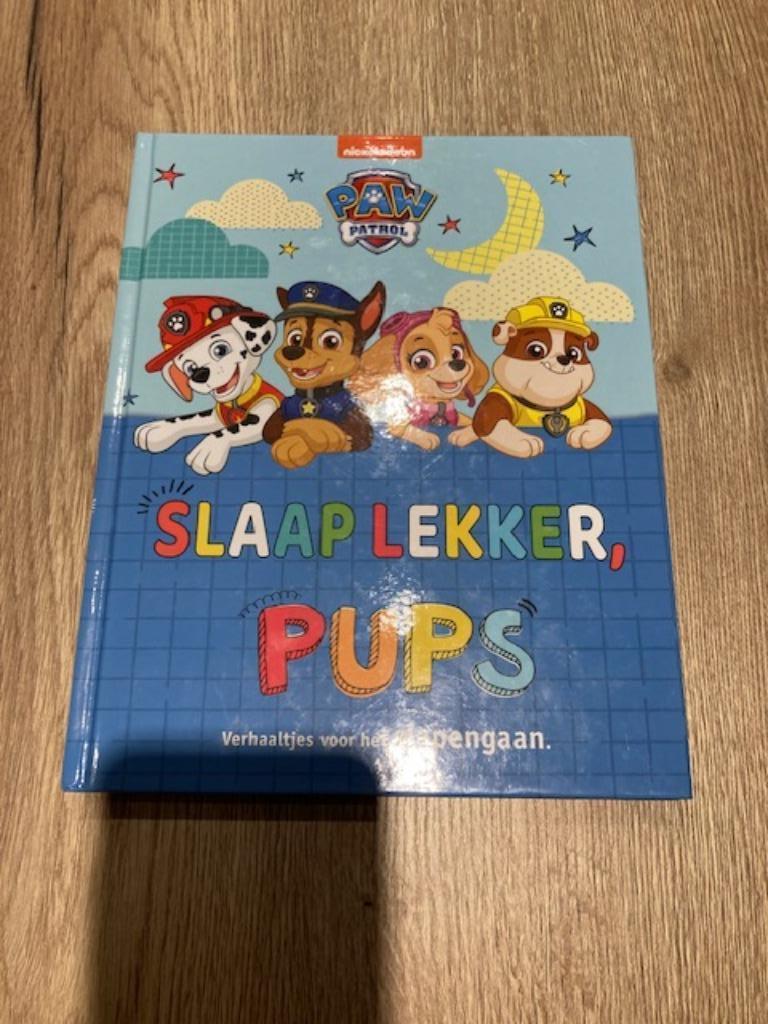 Boek - Paw Patrol - Slaap Lekker Pups, 5 of 6 jaar, Fictie algemeen, Jongen of Meisje, Zo goed als nieuw