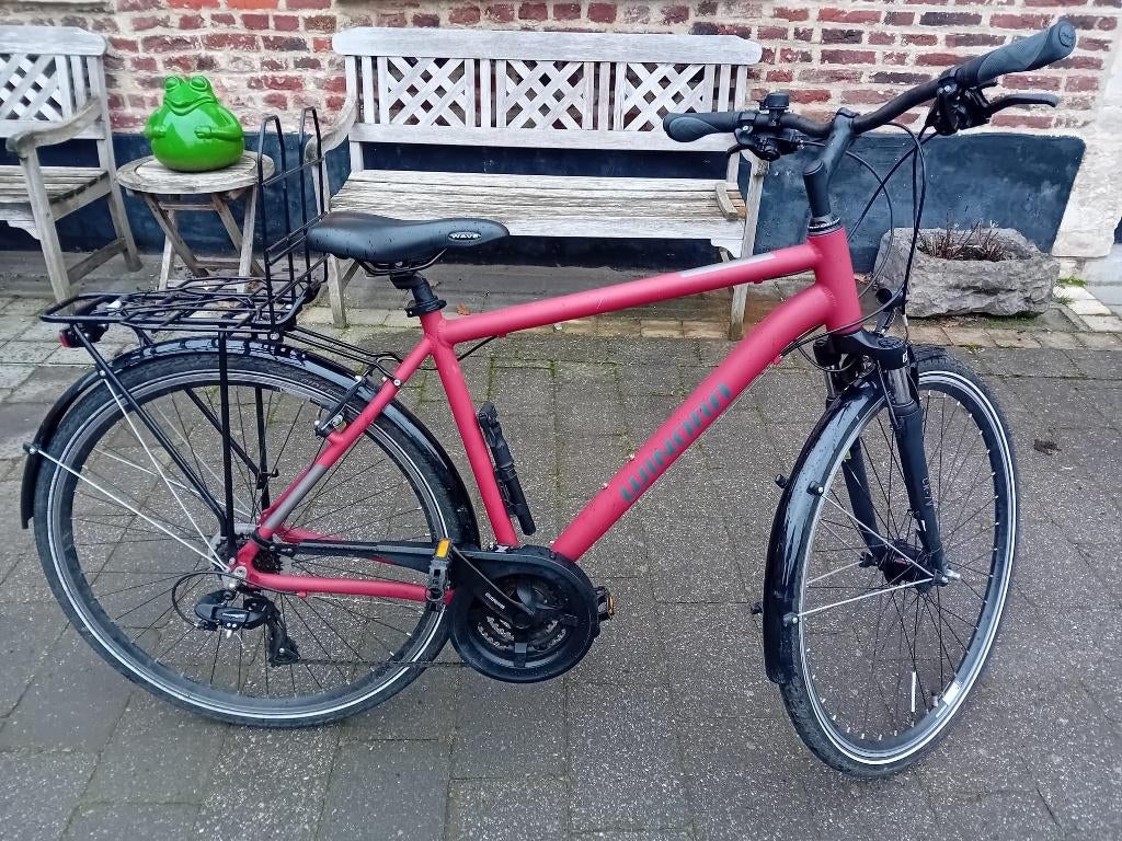 Fiets Winora Domingo Chestnut Mat, Gebruikt, Versnellingen, 53 tot 57 cm, Ophalen