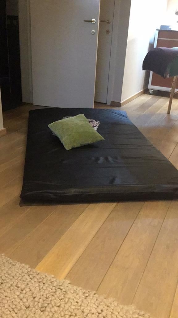 Tapis de massage Shiatsu, Enlèvement, Utilisé, Chaise de massage ou Coussin