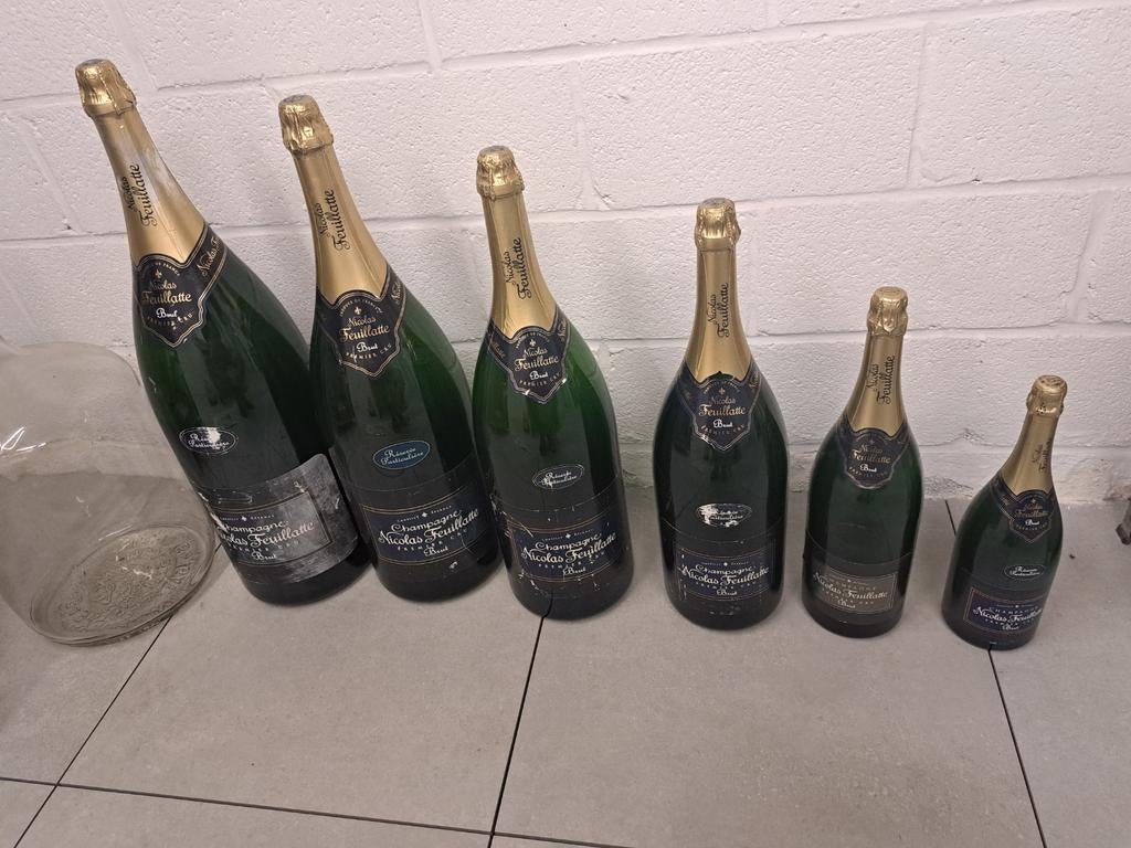 6 demo  dummy flessen champagne van 1 1/2 l tot 12 l, Verzamelen, Ophalen, Gebruikt, Frankrijk, Champagne