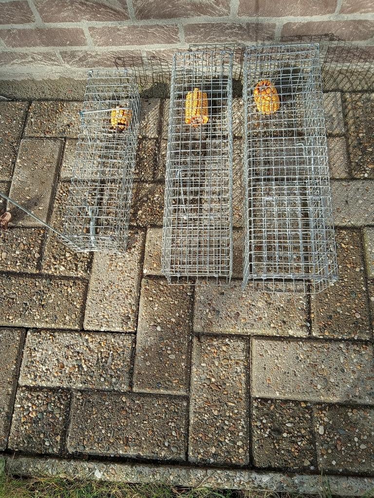 Rattenval, Dieren en Toebehoren