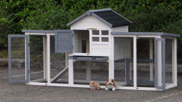 Poulailler abri poule clapier XXL lapin rongeur caille NEUF, Envoi, Neuf