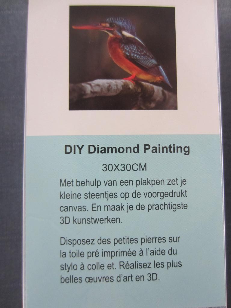 Diamond painting Ijsvogel, Ophalen of Verzenden, Nieuw